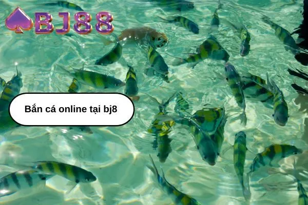 Bắn cá online tại bj8 Giải trí mọi lúc mọi nơi, nhận thưởng cực đã