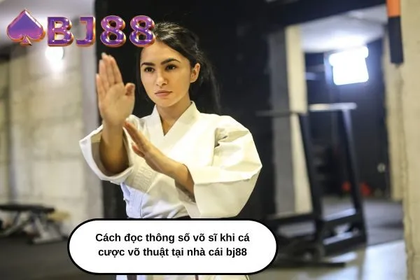 Cách đọc thông số võ sĩ khi cá cược võ thuật tại nhà cái bj88