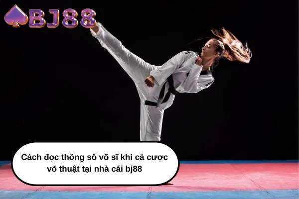 Cách đọc thông số võ sĩ khi cá cược võ thuật tại nhà cái bj88