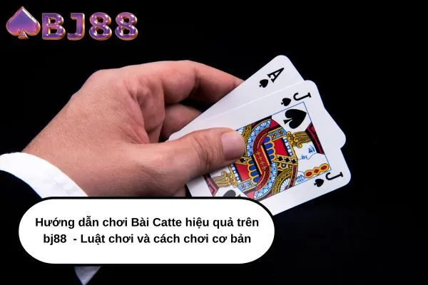 Hướng dẫn chơi Bài Catte hiệu quả trên bj88 - Luật chơi và cách chơi cơ bản